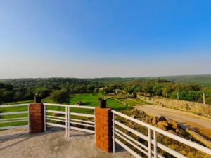 whatsapp image 2025 07 10 at 12.34.10