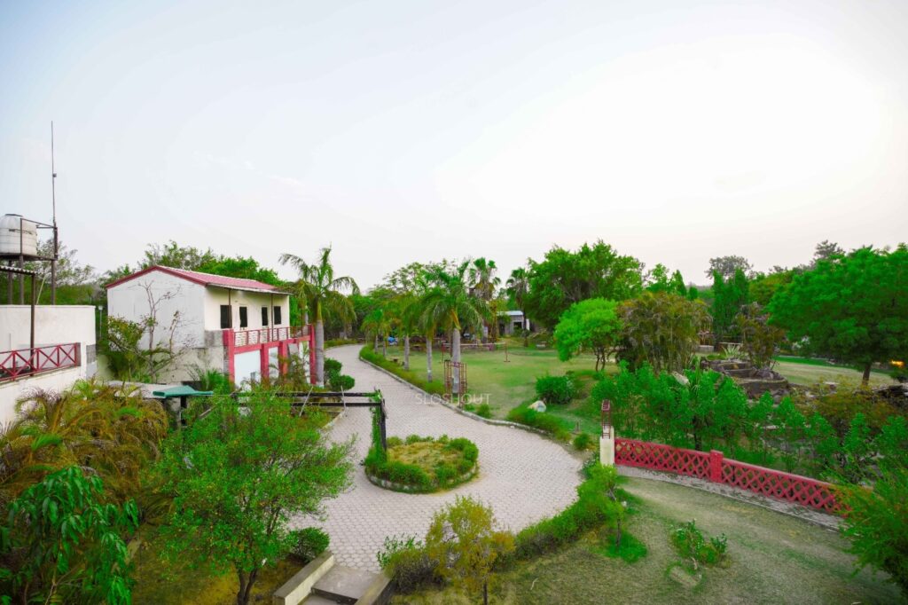 whatsapp image 2025 09 10 at 18.54.07 whatsapp image 2025 09 10 at 18.54.07